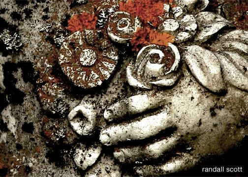 Dead Flowers