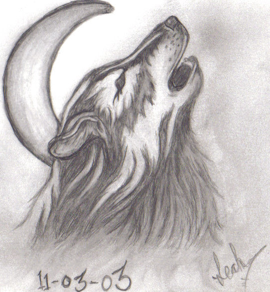 Wolf Moon