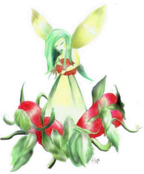 Strawberry Fairy