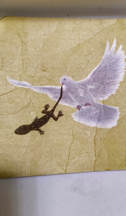 catching a gecko