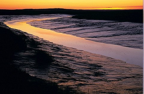 Low Tide and Muddy River