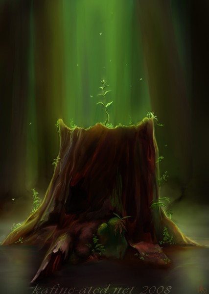 Question of beginnings