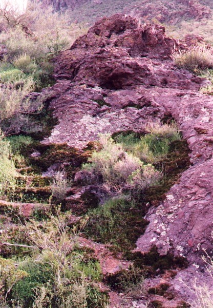 Rock at Picacho Peak