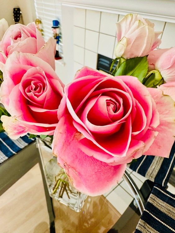 Roses for Sissy