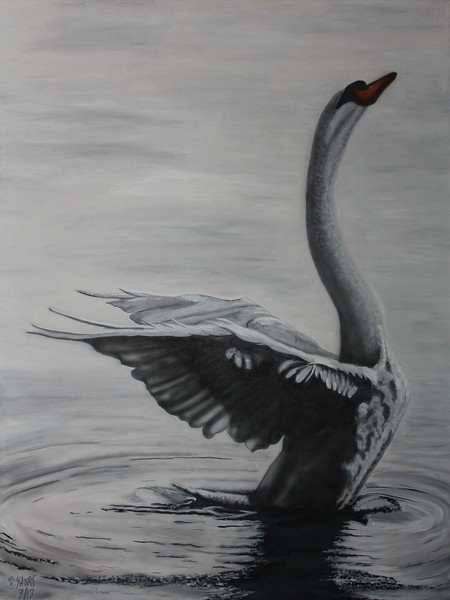 Swan (left)