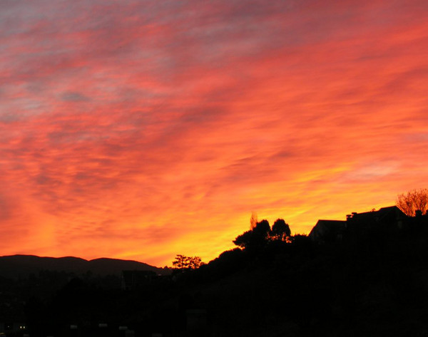 Novemeber Sunset