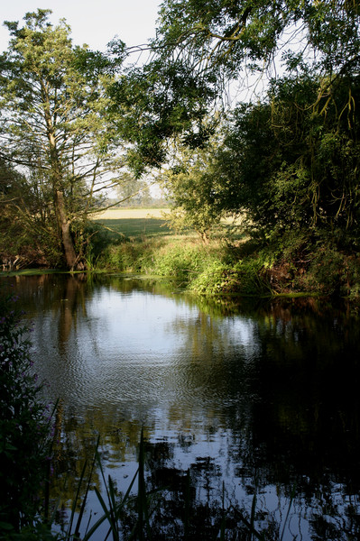 Evening light