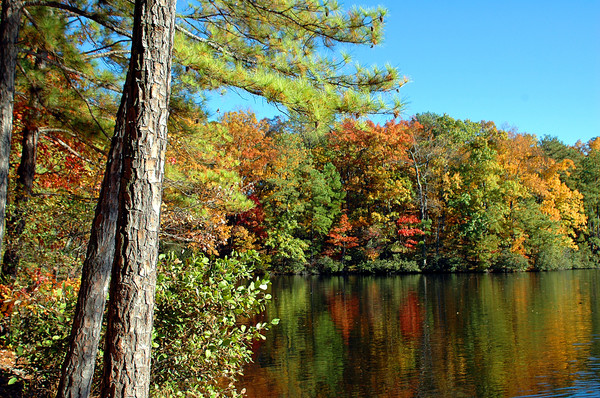 Colors Of Fall