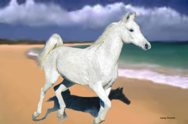Avitar's Beach