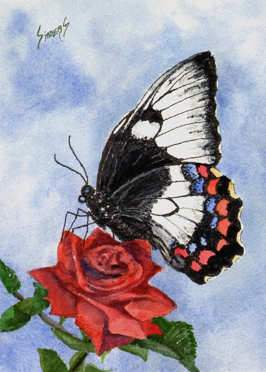 The Keeper of the Rose