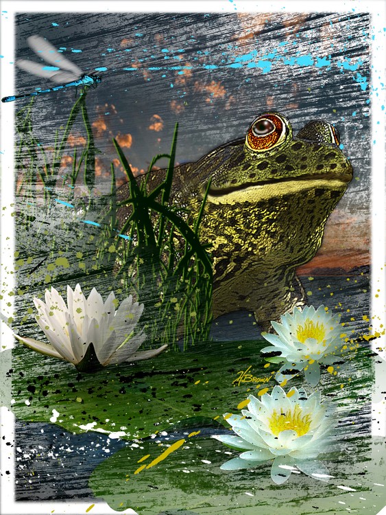 Bullfrog