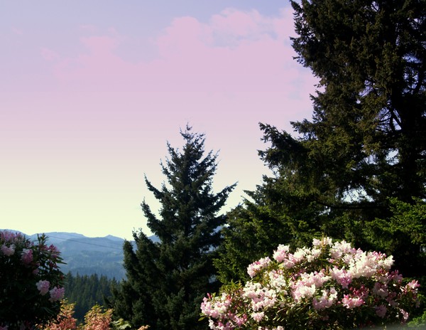 Oregon Landscape
