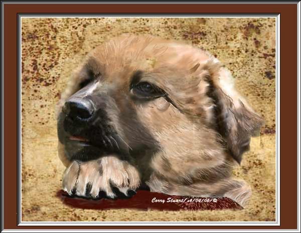 Leonie at 12 weeks