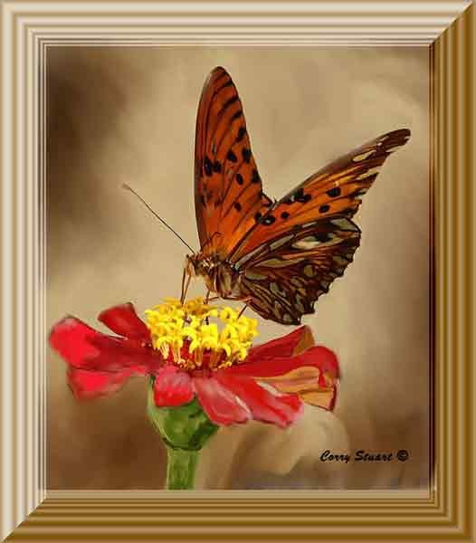 The Monarchs are coming