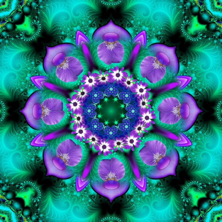 Daily Focus-5-20-2019-B