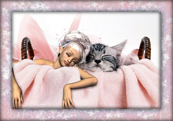 Sleepyheads Sharing.........