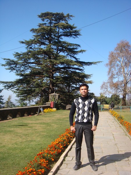 Shimla