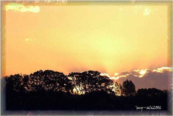Sunrise from my window