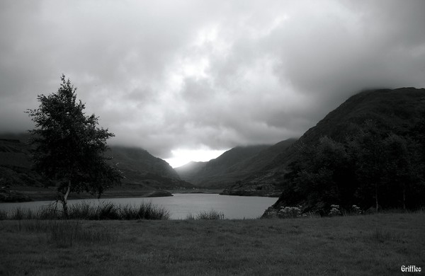 LOW CLOUDS OVER THE PASS