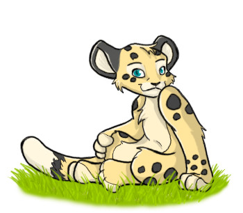 Spotted Kougra