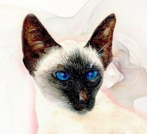 Simaese 2