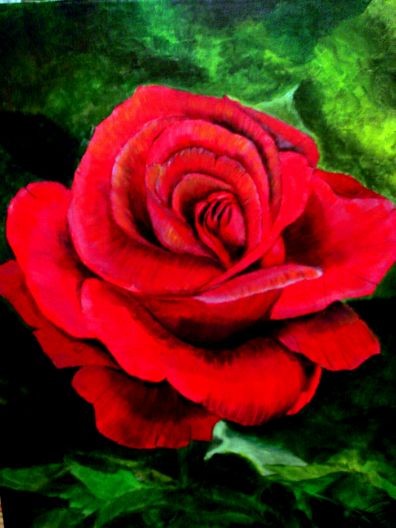 the rose