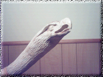Eagle head view