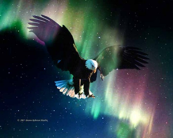 Aurora Eagle Flight