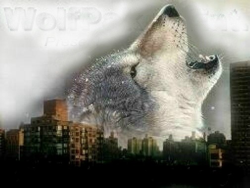 Call of the Wild