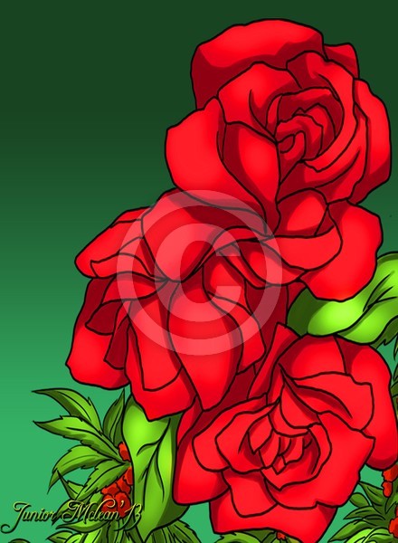 Roses of all Occasions