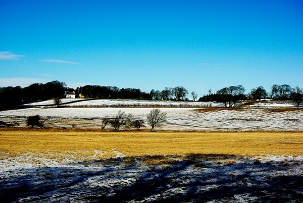 Winter sunshine