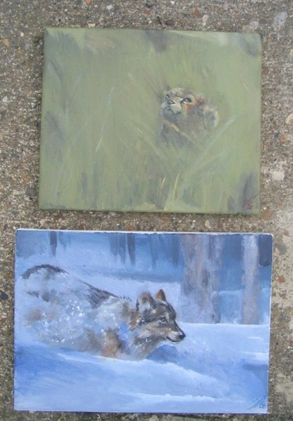 Paintings