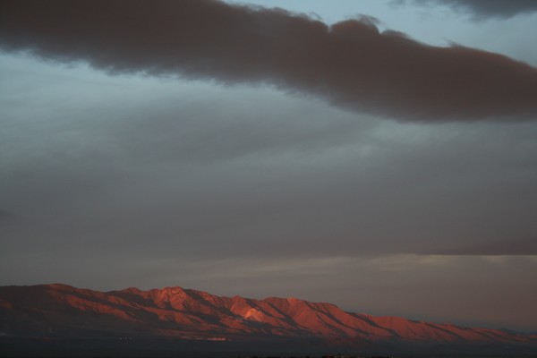 Morning Light