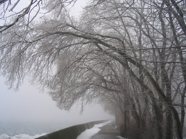Toronto in the Winter2