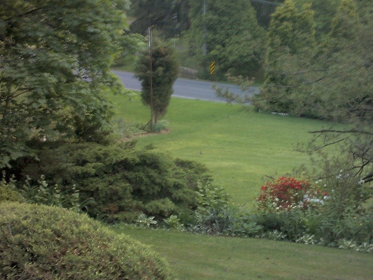 Picture from camera 102