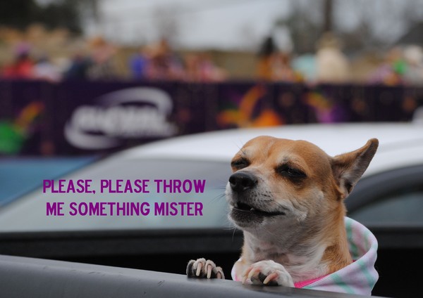 Tee Tee @ Mardis Gras lol