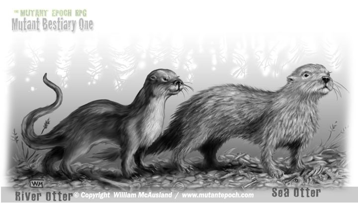Otters