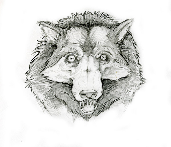 wolf