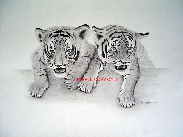 Troublesome cubs!