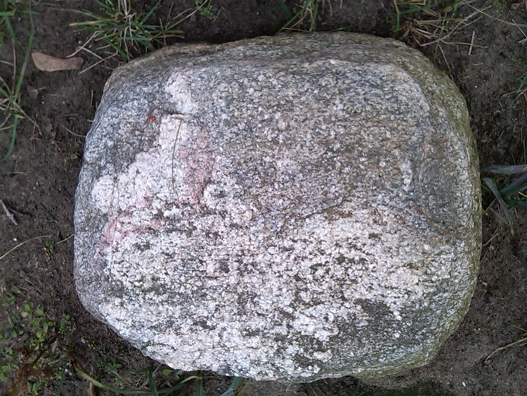 IMG01385-20101121-1341
