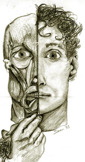 Self Anotomical Facial Illustration