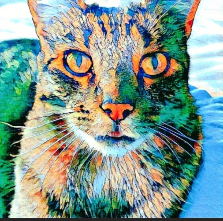 Screenshot 20230116-144405 Lumii - Photo Editor