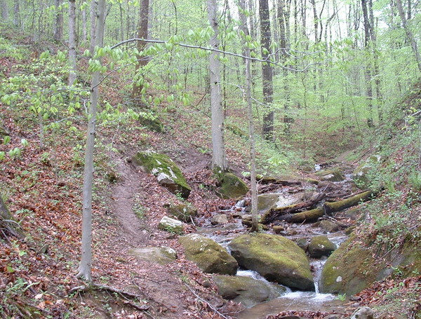 Which path to follow?