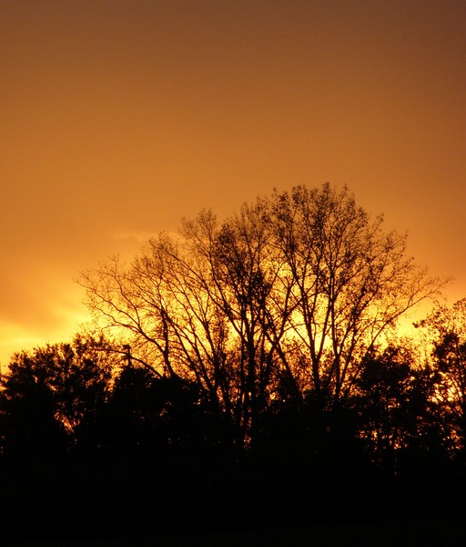 Sepia Sunset