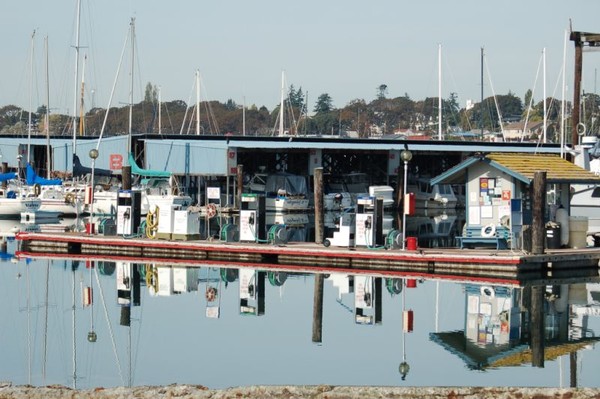 marina reflections