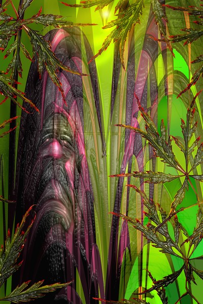 bushman...