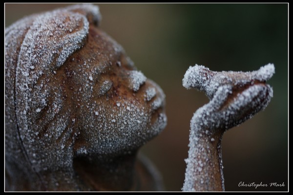 Little Angel