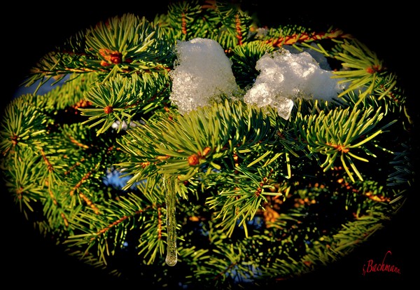 The snow is melting slowly slowly.. :-)