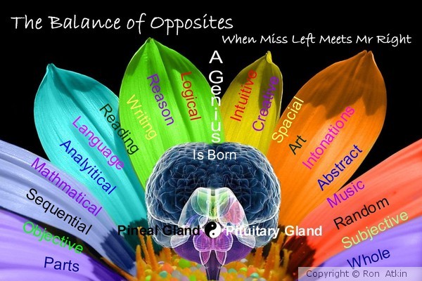 THE UNION OF OPPOSITES