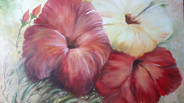 Hibiscos II